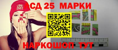 гидра Гатчина