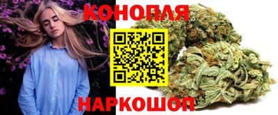гидра Гатчина